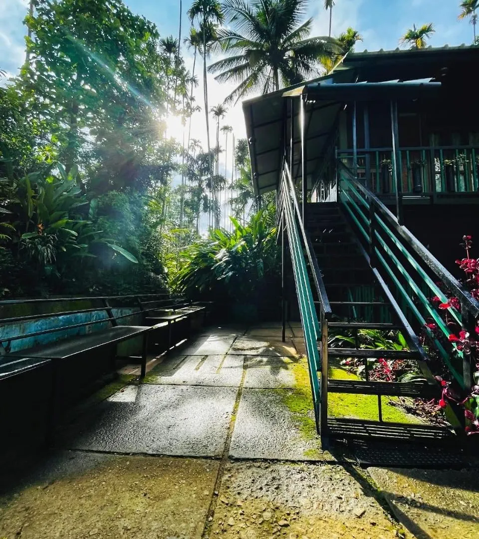 Brook Streak Wayanad Villa Meppādi 0*,