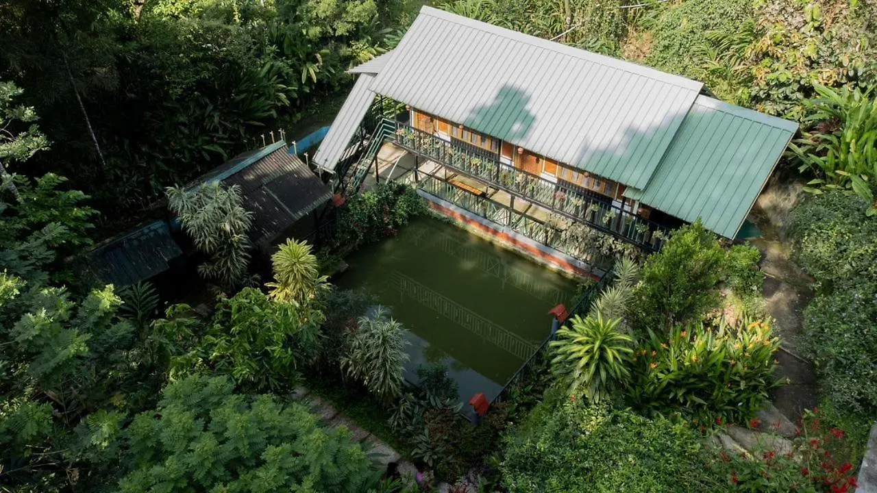 Brook Streak Wayanad Villa Meppādi